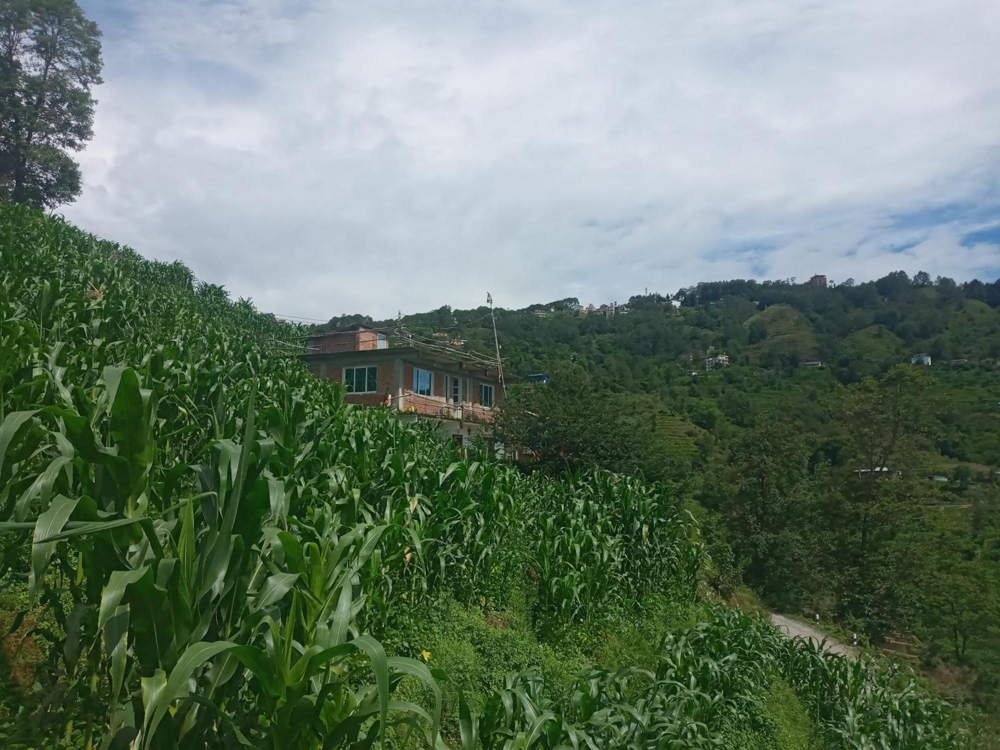 Unique Point Home Stay Nagarkot Exterior foto