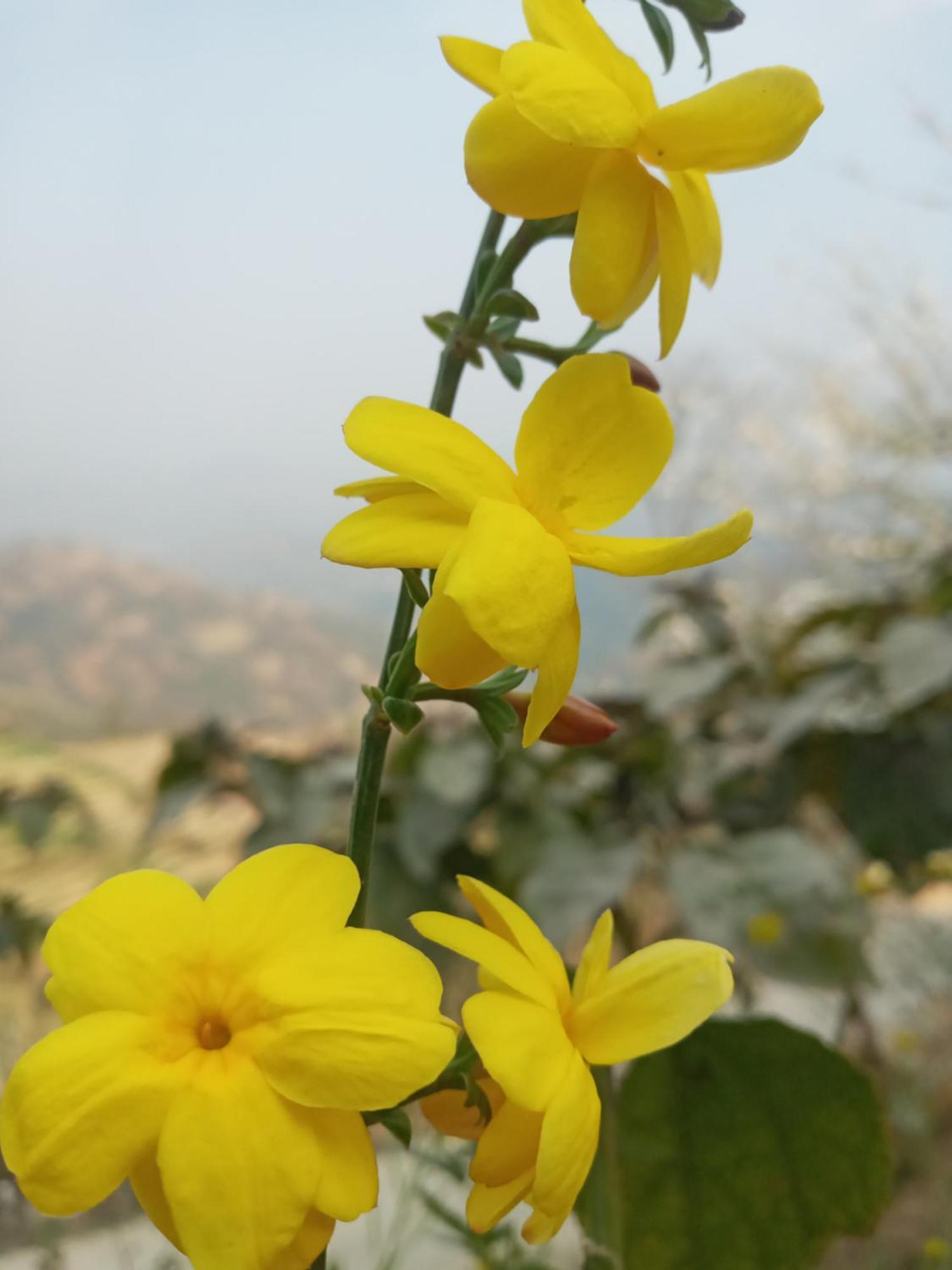 Unique Point Home Stay Nagarkot Exterior foto