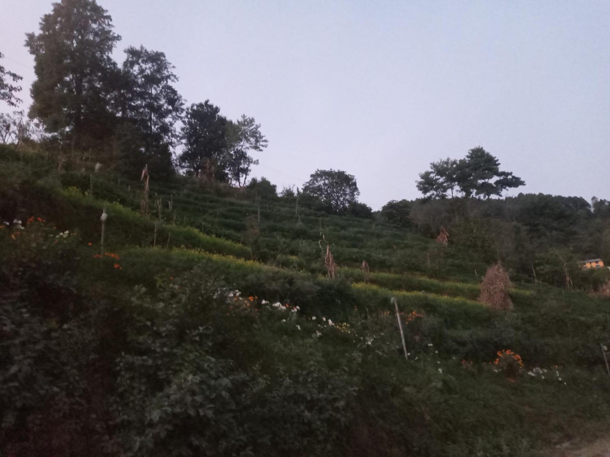 Unique Point Home Stay Nagarkot Exterior foto